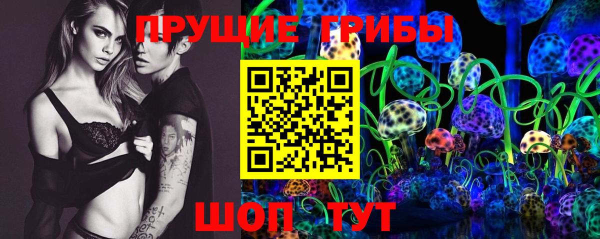 Псилоцибиновые грибы GOLDEN TEACHER Мирный
